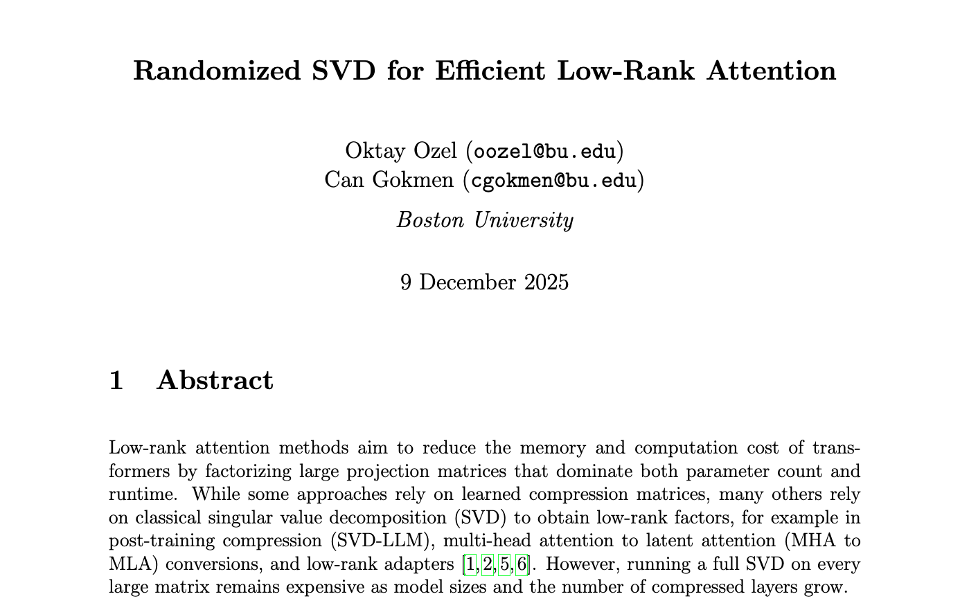 RSVD for Low-Rank Attention screenshot